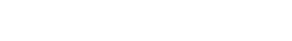 POLYVECTION